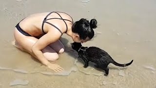 Ultimate Spring Break Pet Party | Pets Get Wet & Wild