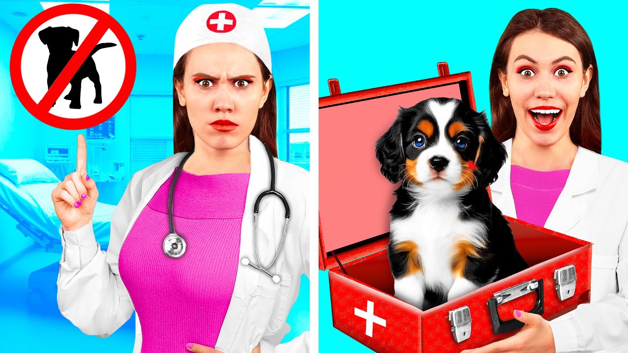 طرق مضحكة لتسلل الحيوانات الأليفة إلى المستشفى | مقالب وحيل رائعة Fun Challenge