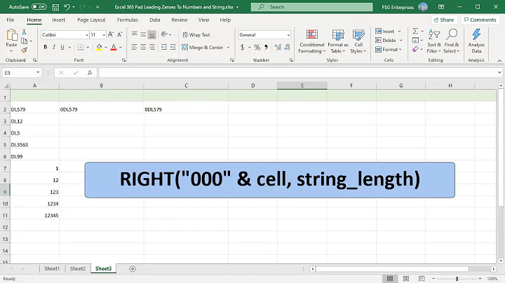 How to Pad Leading Zeroes To Numbers and Strings in Excel - Office 365