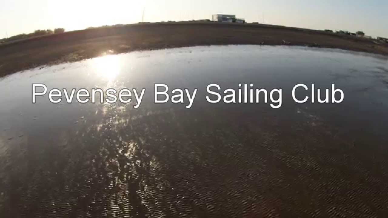 Hog Island Oyster Picnics Favorite Places