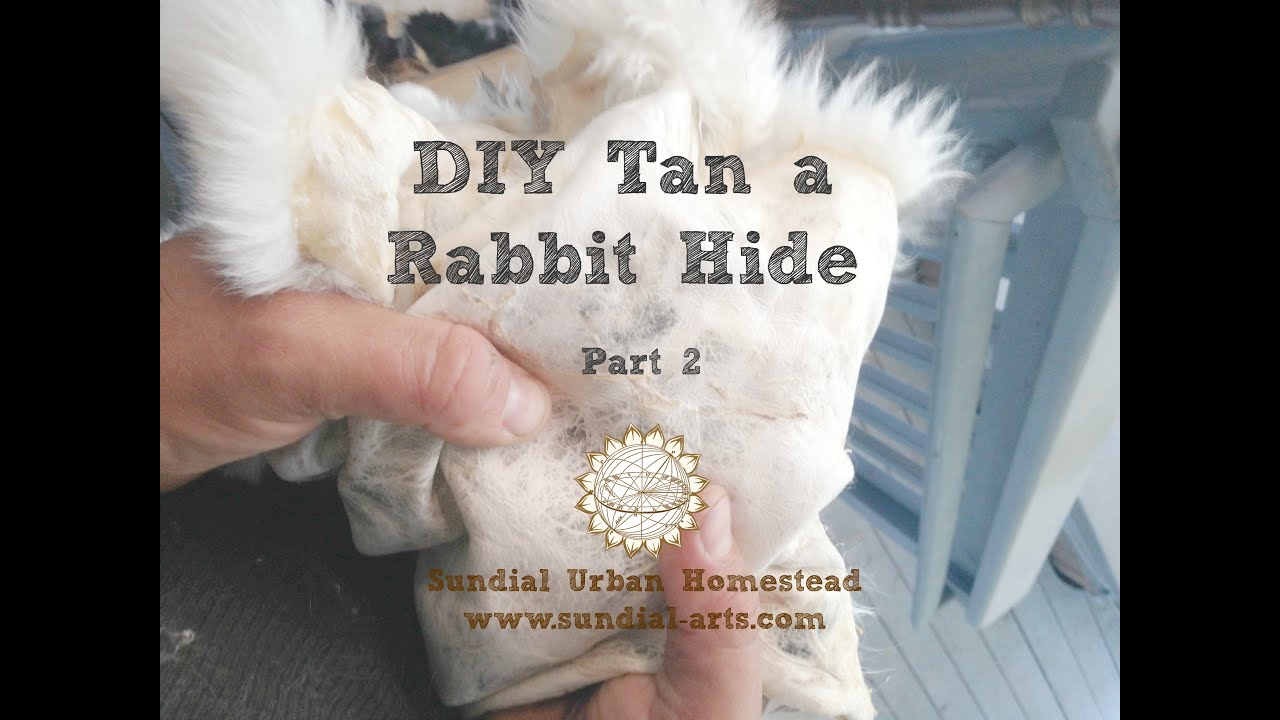 Tanning an Angora Rabbit Hide Part 2 - YouTube