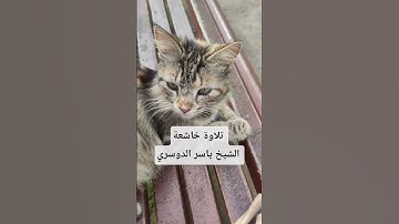 تلاوة خاشعة قران كريم بصوت الشيخ ياسر الدوسري