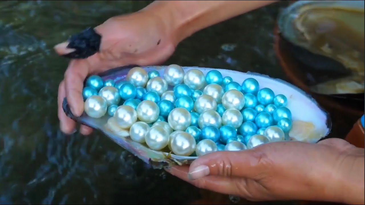 “Freshwater Pearls vs. Saltwater Pearls: Everything You Need to Know”(Fictional content)