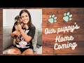 Bringing home our Airedale Terrier puppy! の動画、YouTube動画。