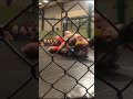 Lewis Tams Pro MMA Debut #mma