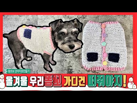 (코바늘)왕초보 강아지 가디건만들기/How to make an easy dog cardigan