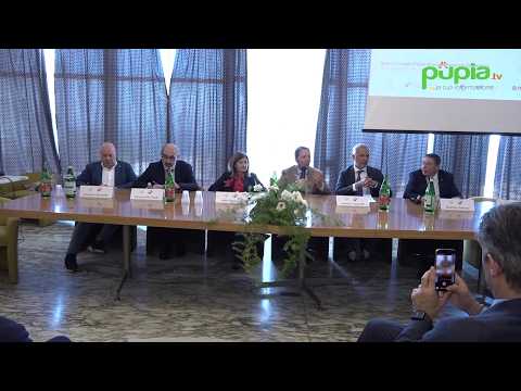 Video Sorrento (NA) - Turismo e infortuni sul lavoro, focus su sicurezza e irregolarità (13.05.26)