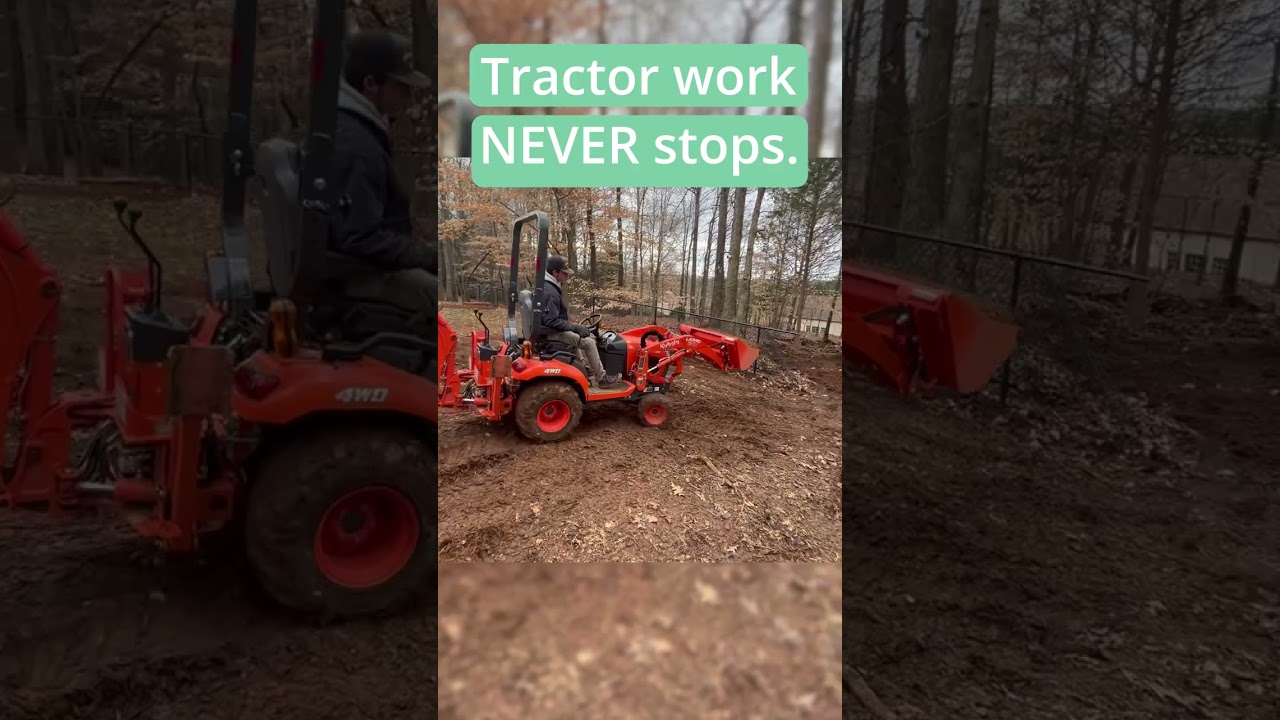 Easily Distracted By Tractors #shorts #tractor #landscaping #lawncare