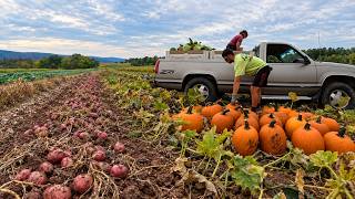 We Didn’t Have Enough Help For This Harvest