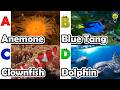 ABC phonics animals | ABC Sea Animals song | English and Animals for Kids | Alphabet Kid Song | Baby