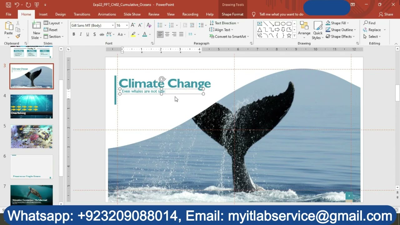 Exp22_PowerPoint_Ch02_Cumulative_Science_Club | Exp22 PowerPoint Ch02 Cumulative Science Club