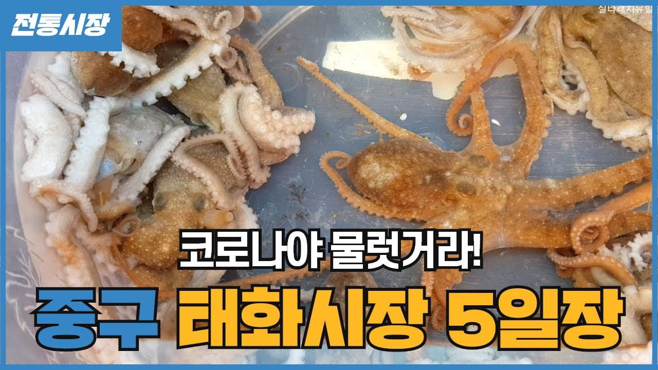 울산전통시장 _ 울산태화종합시장의 오일장 풍경 / 태화시장 / 태화강국가정원 / 5일장 / Traditional Markets