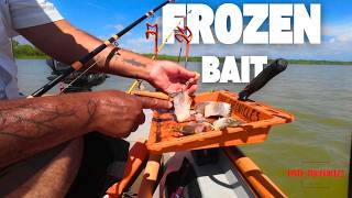 I tried FROZEN bait...here's what happened. (storm approaching)