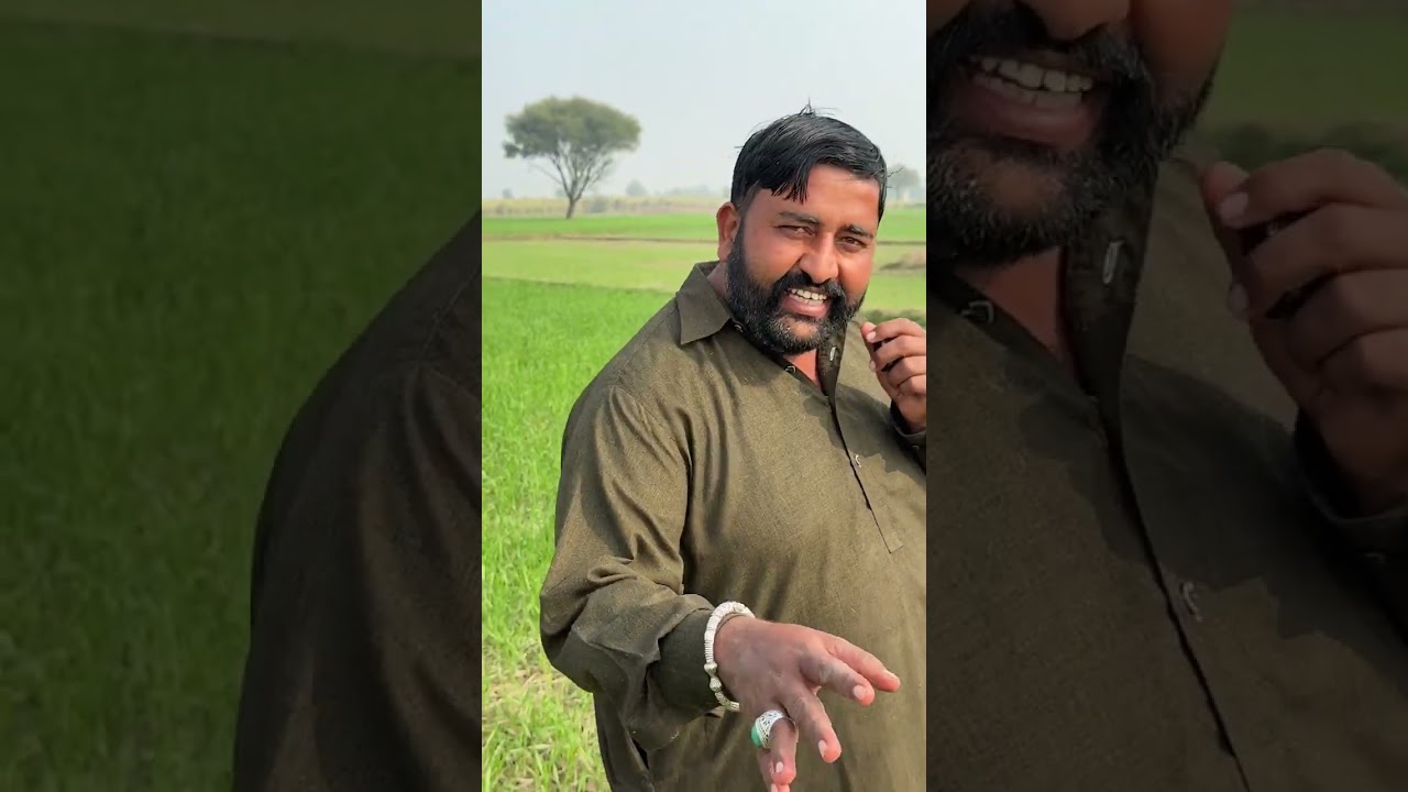 Лошадь высшего класса в Пакистане