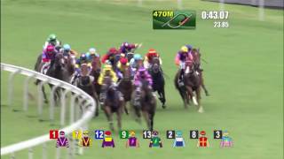 Amazing horse racing. Miracle can happen.