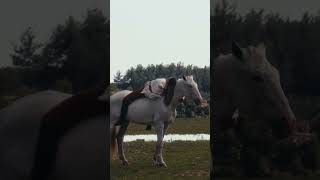 Serdar Onur - Aşk Gazisi