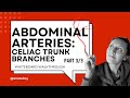 Abdominal Arteries: Celiac Trunk (3/3): Specific Branches
