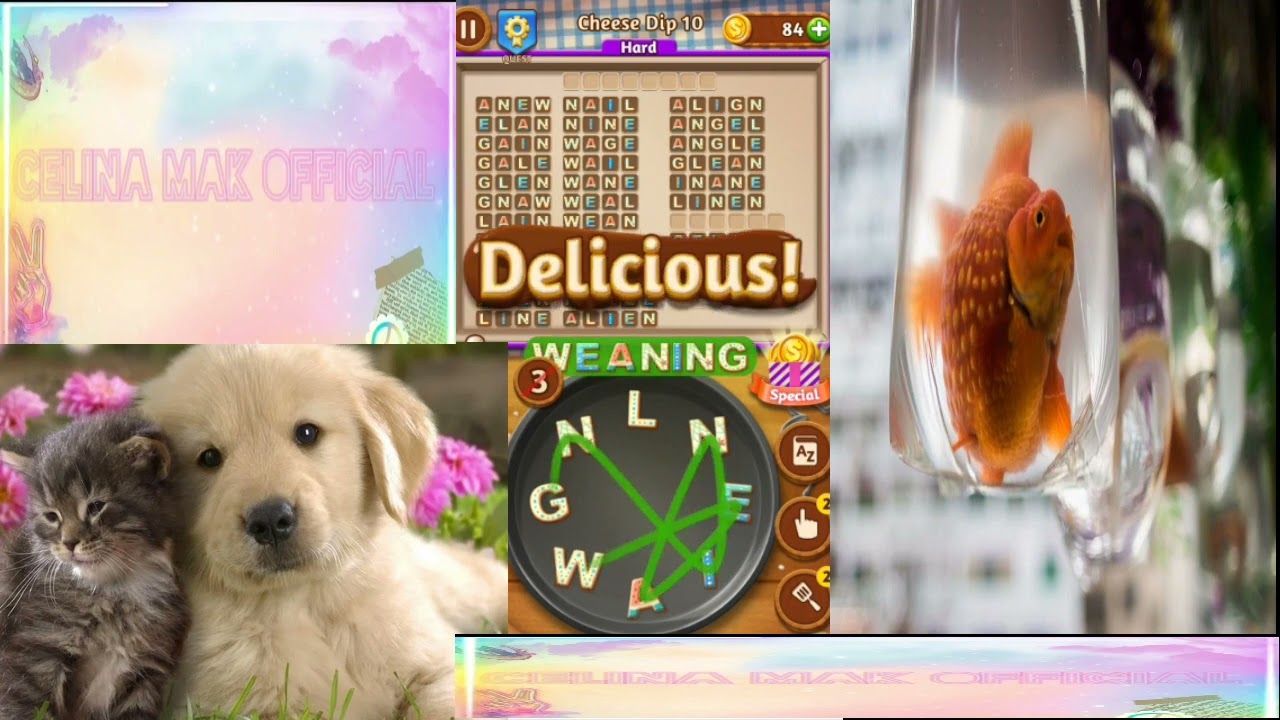 {Word Cookies} Influential - Cheese Dip - Levels 1 to 20 (celina mak official)