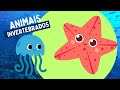 ANIMAIS INVERTEBRADOS -Moluscos,equinodermos,artrópodes,esponjas,vermes,insetos