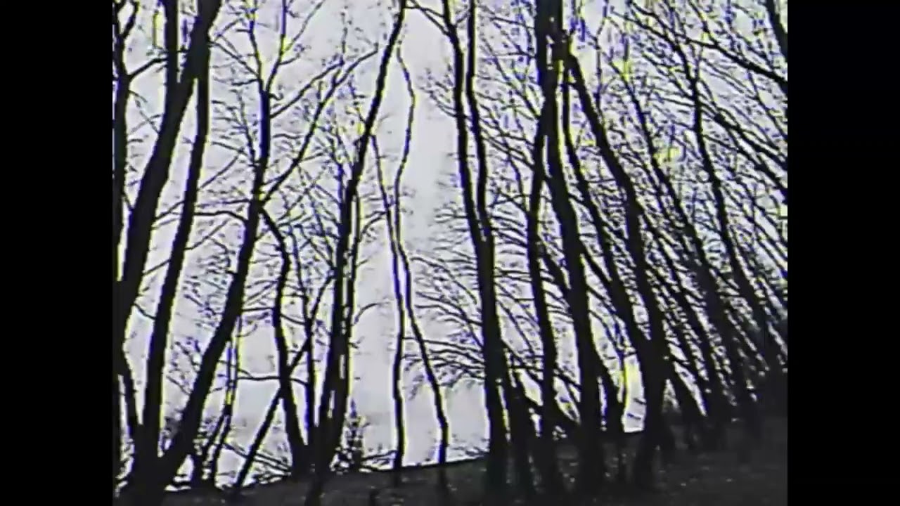 i accidentally made this feel important