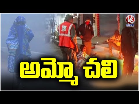 Telangana Experiences Significant Temperature Drop | V6 News - V6NEWSTELUGU