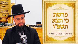 מו"ר הגאון הרב שקד בוהדנה שליט"א - פרשת כי תצא תשפ"ו