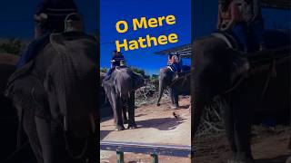 🐘 चल चल चल मेरे साथी ❤️ | O Mere Haathi | Munnar Elephant Ride #Shorts
