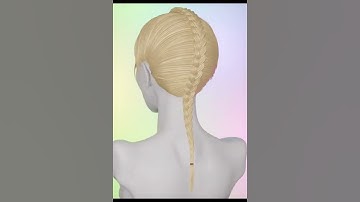 Blender | Middle Dutch braid hairstyle #shorts