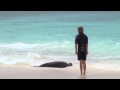 Jan Cousteau on Exploring the Galápagos Islands