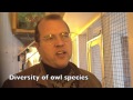 NYS Zoo at Thompson Park owls - Watertown Daily Times