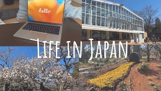 Life in Japan | Starbucks at Hana Biyori and Akihabara | Tokyo Vlogs