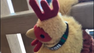 Chikon The Daredevil