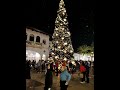 December 24th 2001 Disney S Hollywood Studio S Christmas Tree 