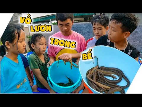 Video Thái Chuối | Cuộc Thi Bắt Lươn Trong Bể Bơi Khổng Lồ - youtube