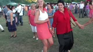 Bosanski Teferic Najbolje Izvorno kolo MiX 031 @mcoko63 #entertainment #shorts