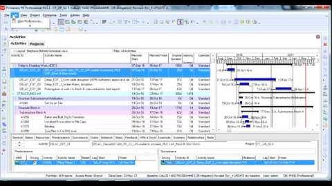 How to convert P6 programme to PDF