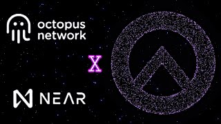 Portalverse, Octopus Network Uygulama Zinciri Hattına Giriyor