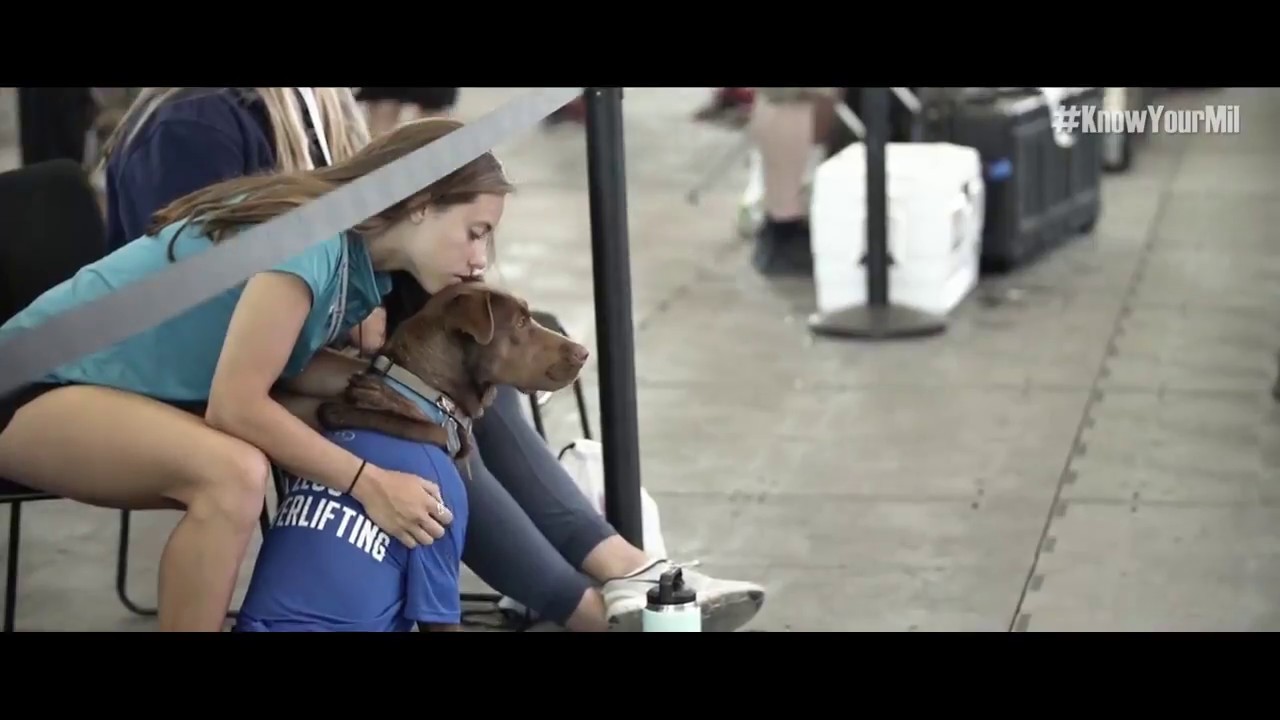 veterinary surgery Service Dog's Best Friends