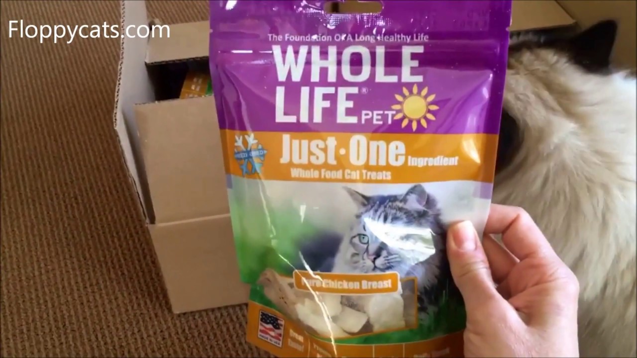 Healthy Cat Treats Ragdoll Cats Munch Down on Whole Life Pet Treats