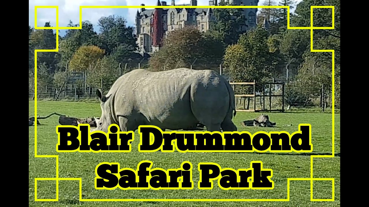 ★彡 𝔹𝕝𝕒𝕚𝕣 𝔻𝕣𝕦𝕞𝕞𝕠𝕟𝕕 𝕊𝕒𝕗𝕒𝕣𝕚 ℙ𝕒𝕣𝕜, 𝕊𝕥𝕚𝕣𝕝𝕚𝕟𝕘, 𝕋𝕙𝕖 ℂ𝕖𝕝𝕥𝕚𝕔 𝕊𝕙𝕖 𝕊𝕙𝕖𝕕 彡★