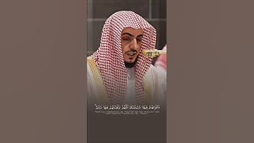 سورة يونس | الوليد الشمسان