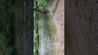 The Sounds Of The Camel River Cornwall