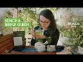 How To Brew Sencha Japanese Green Tea