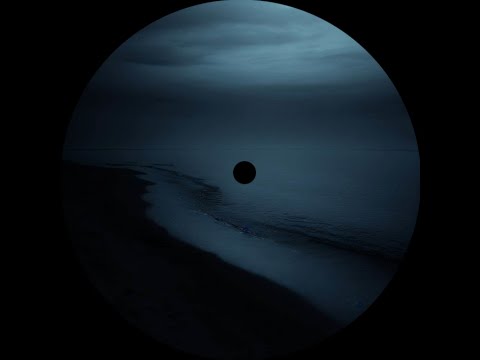 nvrtheless - endless nights