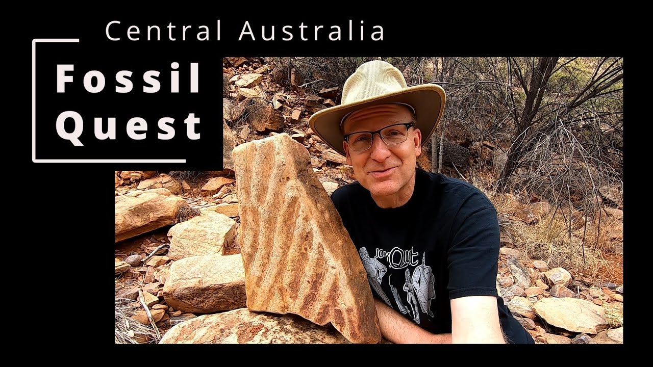 Fossil Quest  | Central Australia |