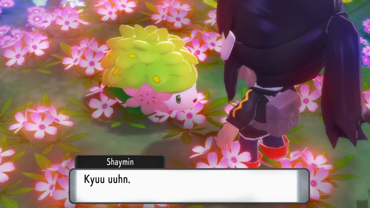 Shaymin Encounter Coming To Brilliant Diamond And Shining Pearl Today -  Noisy Pixel