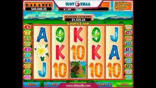 free slots no download