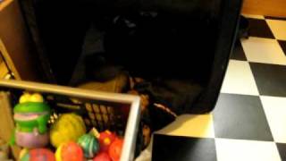 20090701 20709