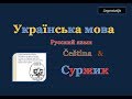 54. Чеська мова & Суржик - Доба чи сутка?