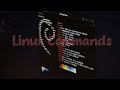 Linux Consola: Comandos Básicos de Linux para manejarse por la terminal de forma rápida 🐧
